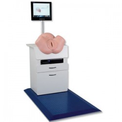 Simulador de parto (nacimienton) SIMone - Envío Gratuito