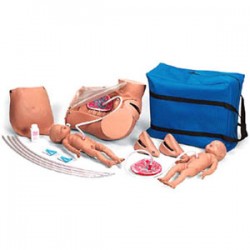 Simulador de parto pelvis - Envío Gratuito