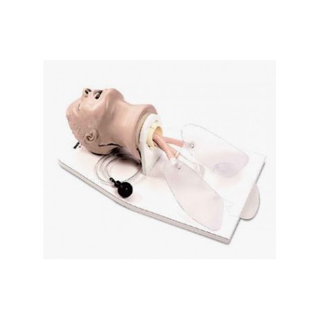 Maniquí para intubación larry - Envío Gratuito
