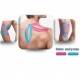 Maxtaping A + plus 18 cm - Envío Gratuito